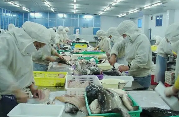 水產(chǎn)解凍清洗加工養(yǎng)殖廢水處理設(shè)備1 水產(chǎn)解凍清洗加工養(yǎng)殖廢水處理設(shè)備1