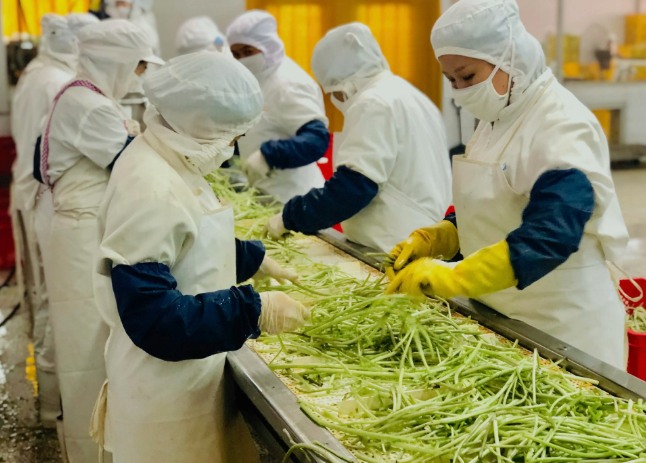 三種食品污水處理設(shè)備工藝流程，看看哪種適合您？