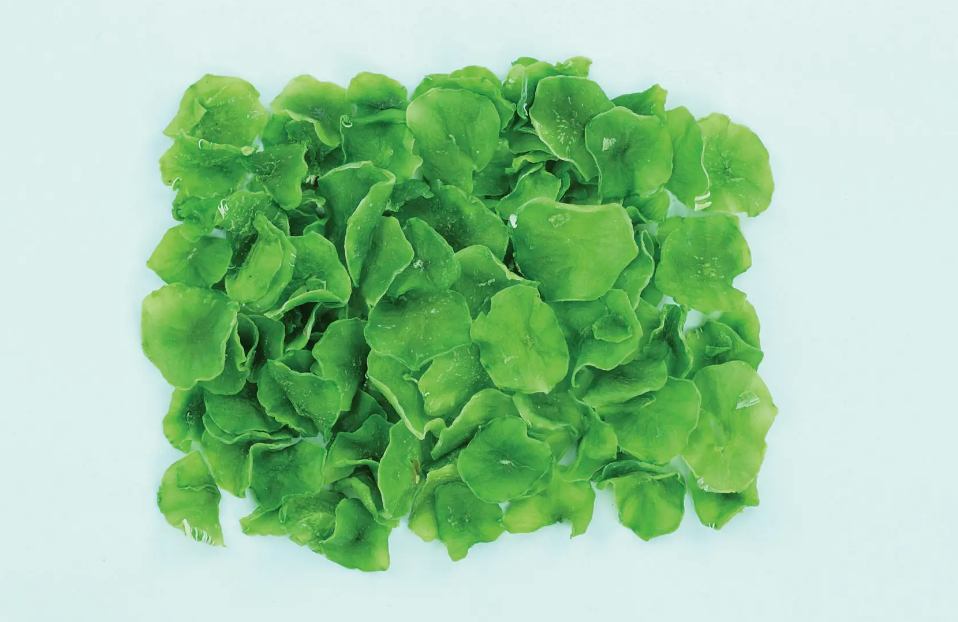 有機蔬菜脫水廢水處理設(shè)備|食品污水處理設(shè)備 有機蔬菜脫水廢水處理設(shè)備|食品污水處理設(shè)備