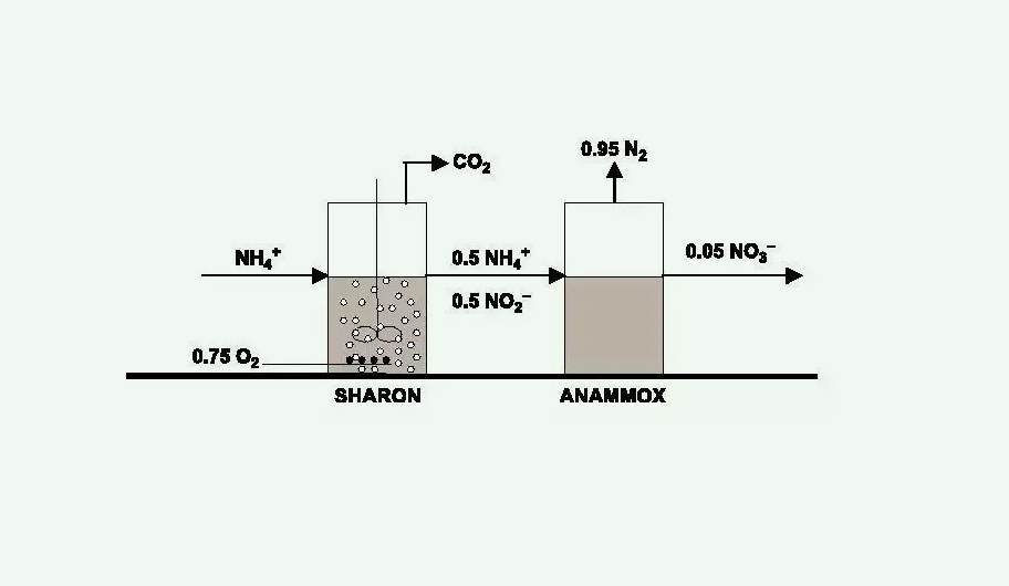 自養(yǎng)反硝化工藝和原理(自養(yǎng)反硝化和異養(yǎng)的區(qū)別)-01 自養(yǎng)反硝化工藝和原理(自養(yǎng)反硝化和異養(yǎng)的區(qū)別)-01