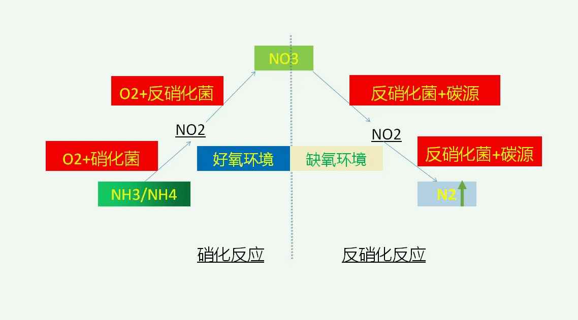 總氮超標(biāo)怎么處理氨氮不超標(biāo)(氨氮超標(biāo)怎么辦)-01 總氮超標(biāo)怎么處理氨氮不超標(biāo)(氨氮超標(biāo)怎么辦)-01