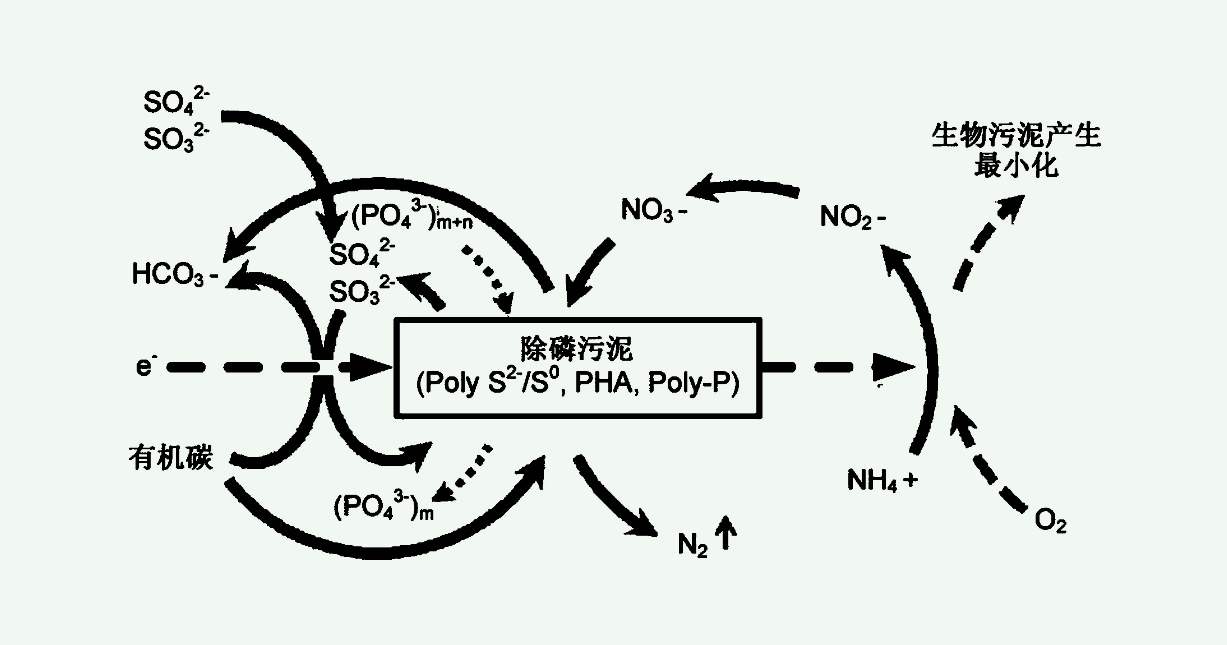 四種主要的生物脫氮工藝(生物脫氮的過(guò)程及原理) 四種主要的生物脫氮工藝(生物脫氮的過(guò)程及原理)