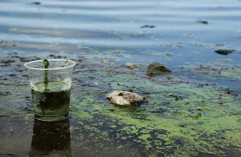 生活污水是怎么處理的(生活污水有哪些處理工藝) 生活污水是怎么處理的(生活污水有哪些處理工藝)