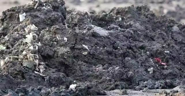 污水處理廠污泥脫水間(污泥脫水車間工作原理) 污水處理廠污泥脫水間(污泥脫水車間工作原理)