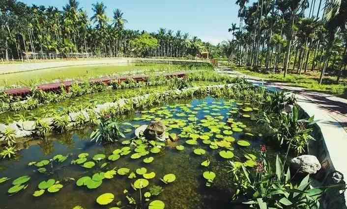 人工濕地設(shè)計(jì)規(guī)范說(shuō)明書(shū)(人工濕地設(shè)計(jì)方案詳細(xì)介紹) 人工濕地設(shè)計(jì)規(guī)范說(shuō)明書(shū)(人工濕地設(shè)計(jì)方案詳細(xì)介紹)