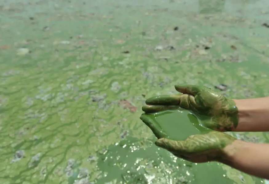 目前存在哪些水污染問(wèn)題(水污染的原因及危害) 目前存在哪些水污染問(wèn)題(水污染的原因及危害)