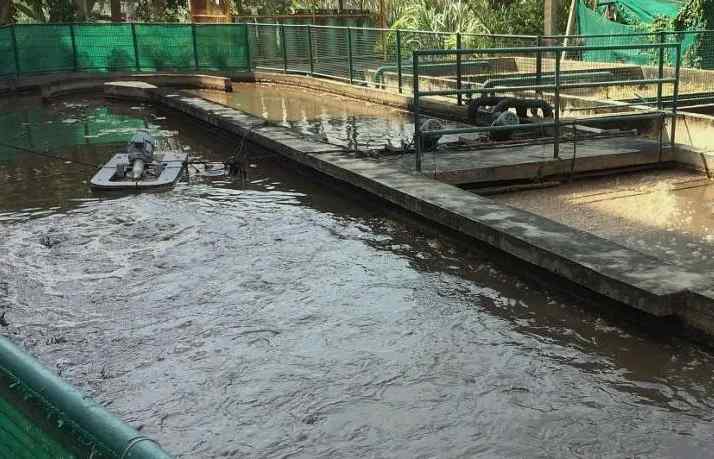 日常生活污水是怎么處理的(如何處理生活污水) 日常生活污水是怎么處理的(如何處理生活污水)