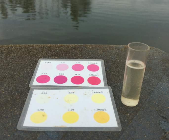 氨氮超標(biāo)的處理方法快速去除氨氮的原理(附解決方法) 氨氮超標(biāo)的處理方法快速去除氨氮的原理(附解決方法)