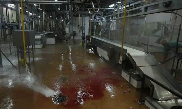 屠宰廢水處理設(shè)備有哪些(屠宰廢水處理設(shè)備構(gòu)造及原理) 屠宰廢水處理設(shè)備有哪些(屠宰廢水處理設(shè)備構(gòu)造及原理)