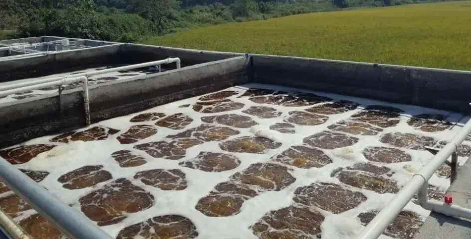 屠宰污水處理設(shè)備原理及用途(屠宰廢水水質(zhì)) 屠宰污水處理設(shè)備原理及用途(屠宰廢水水質(zhì))