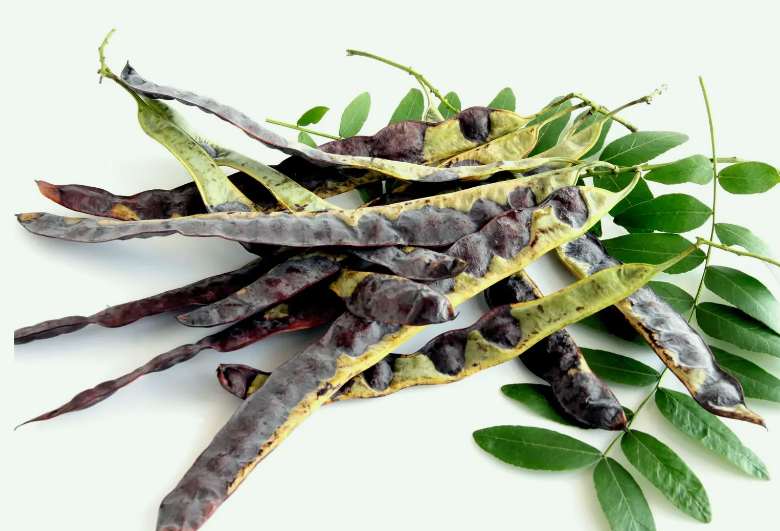 皂腳和皂角的區(qū)別是什么（皂腳和皂角一樣嗎？）