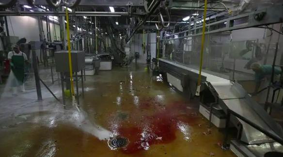 屠宰廢水處理設(shè)備公司哪家好(屠宰污水處理方案) 屠宰廢水處理設(shè)備公司哪家好(屠宰污水處理方案)