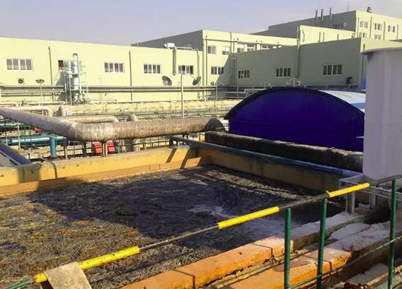 污泥回流到哪個池子(加大污泥回流的作用) 污泥回流到哪個池子(加大污泥回流的作用)