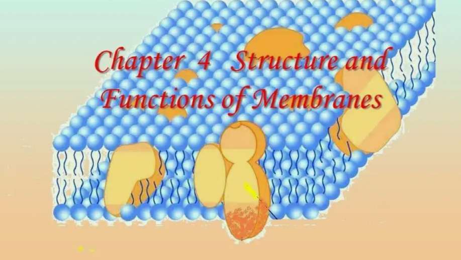生物膜法和活性污泥法的區(qū)別是什么(活性污泥法與生物膜法優(yōu)缺點) 生物膜法和活性污泥法的區(qū)別是什么(活性污泥法與生物膜法優(yōu)缺點)