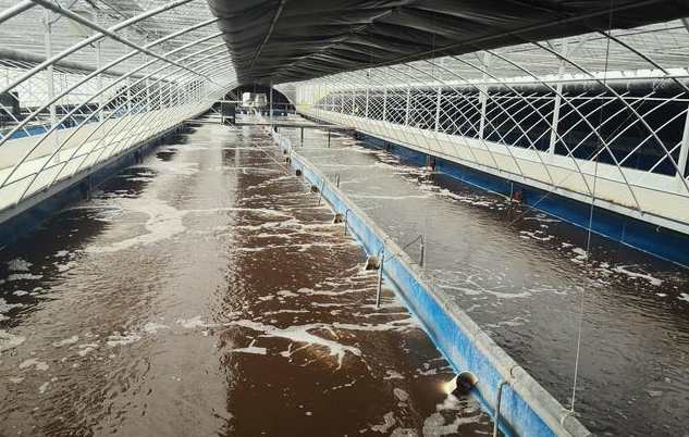 畜禽污水處理的方法、步驟（主流畜禽污水處理工藝有哪些）