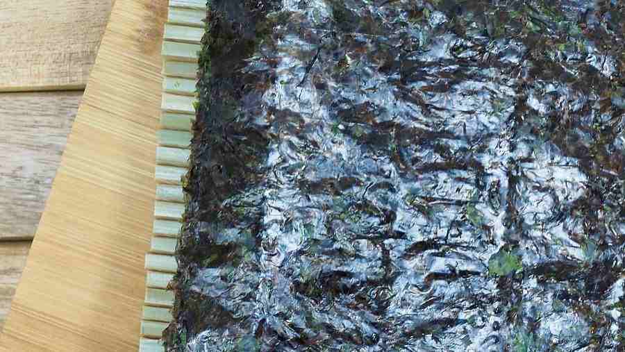 污水處理菌種培養(yǎng)方法(污水處理菌種有哪些) 污水處理菌種培養(yǎng)方法(污水處理菌種有哪些)