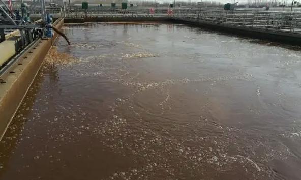 屠宰污水的特點及處理難點(生豬屠宰場的污水怎么處理達(dá)標(biāo)) 屠宰污水的特點及處理難點(生豬屠宰場的污水怎么處理達(dá)標(biāo))