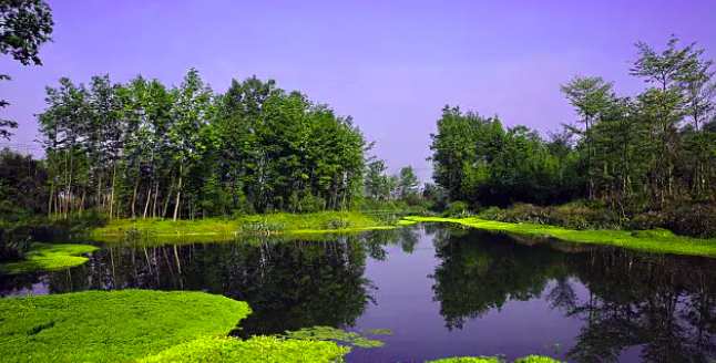 人工濕地污水處理技術(shù)的優(yōu)點(diǎn)及用途(人工濕地污水處理案例) 人工濕地污水處理技術(shù)的優(yōu)點(diǎn)及用途(人工濕地污水處理案例)