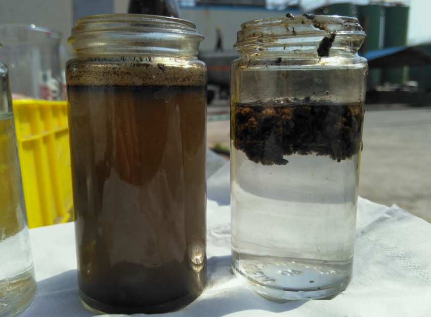 AO工藝出水SS高什么原因|怎么辦？