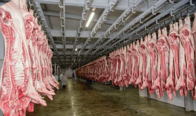 常見的屠宰場(chǎng)設(shè)備有哪些(屠宰場(chǎng)設(shè)備要多少錢) 常見的屠宰場(chǎng)設(shè)備有哪些(屠宰場(chǎng)設(shè)備要多少錢)