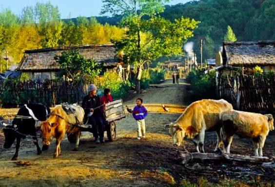 貴州省農(nóng)村生活污水處理設(shè)施水污染物排放標(biāo)準(zhǔn)(附主要指標(biāo)) 貴州省農(nóng)村生活污水處理設(shè)施水污染物排放標(biāo)準(zhǔn)(附主要指標(biāo))