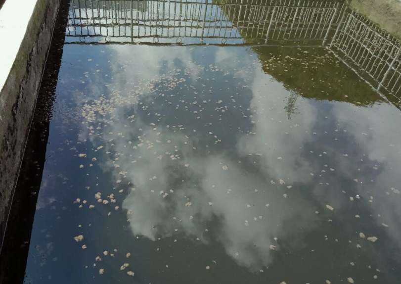 污水處理中ss是什么意思|指的是什么(附污水中ss檢測(cè)方法) 污水處理中ss是什么意思|指的是什么(附污水中ss檢測(cè)方法)