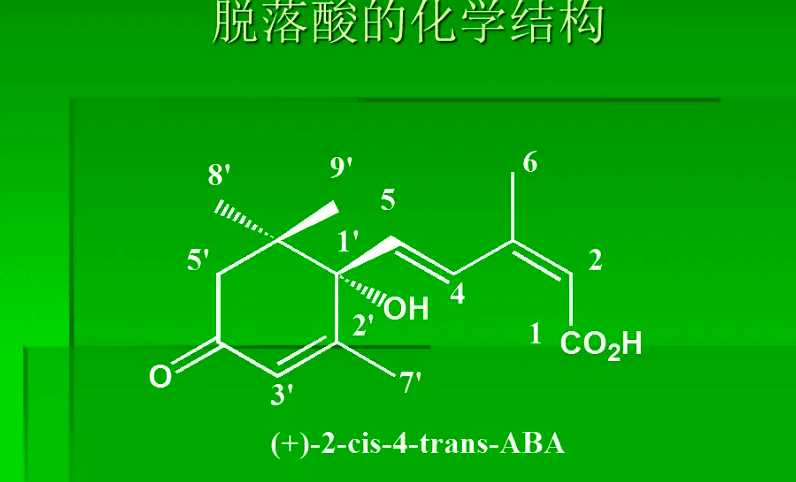 脫落酸的作用和使用方法(脫落酸的作用機(jī)制和原理介紹) 脫落酸的作用和使用方法(脫落酸的作用機(jī)制和原理介紹)
